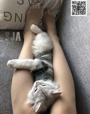学园时间停止の在线观看第二集_超清日韩电影在线